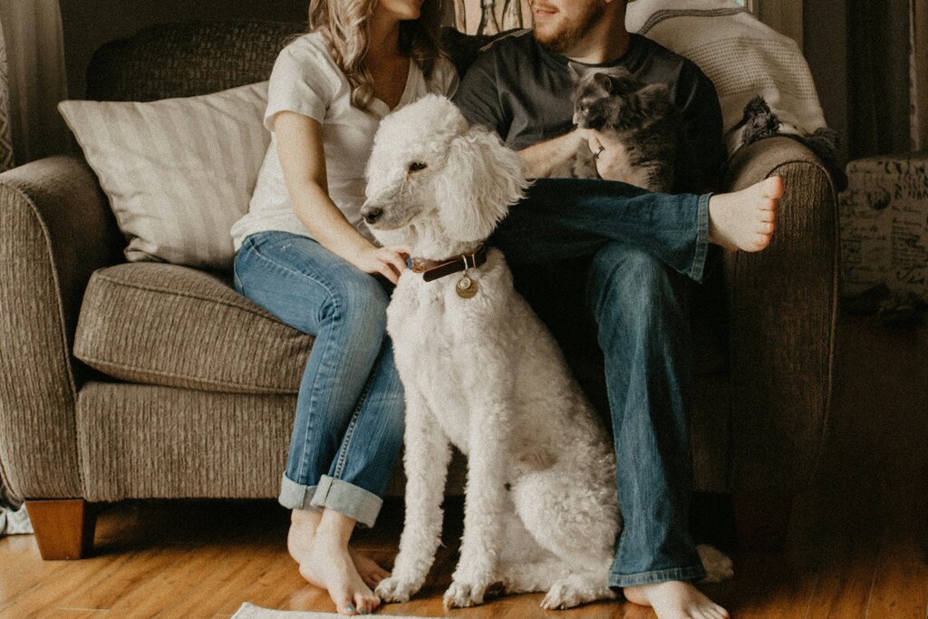 From Pets to Family Members: The Rising Pet Economy in China